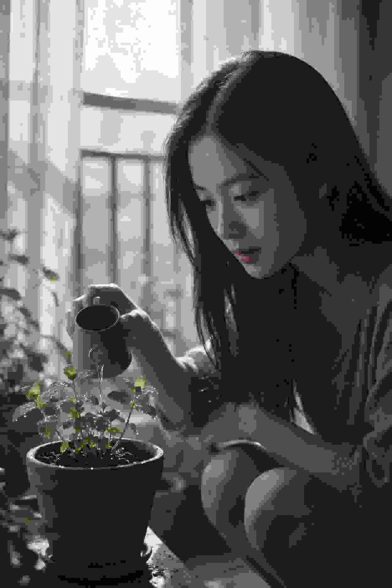 美食风云
